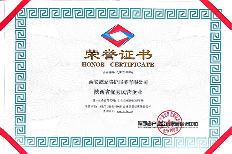 陕西省优秀民营企业